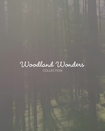 Woodland Wonders collection – child walking through the forest, hand-painted watercolor art and forest animal posters
